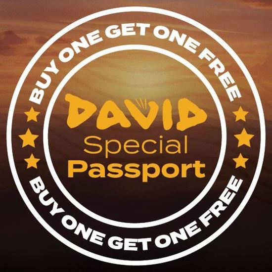 Picture of Angel Studios' David Passport