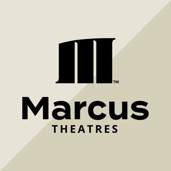 Picture of Platinum Sponsor 