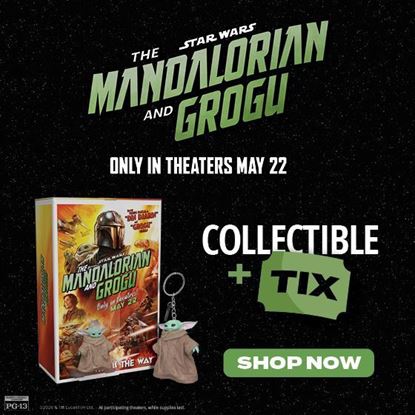 Picture of The Mandalorian Super Ticket